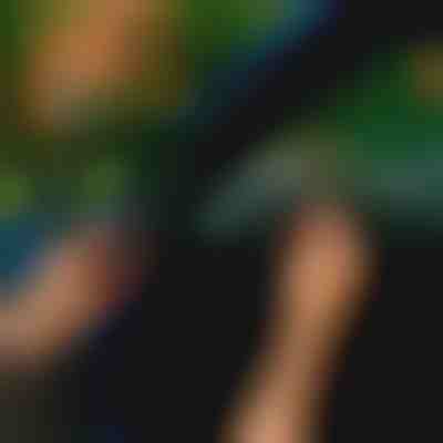 Uszczelka do drzwi samochodowych (5m) | EVOSEAL